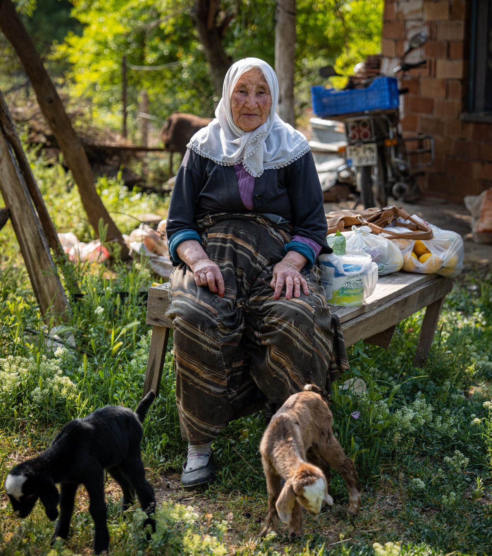 pexels-mehmet-altintas-392989477-23126862